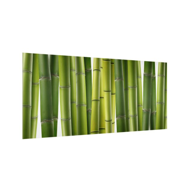 Spritzschutz Küche Glas Bambuspflanzen