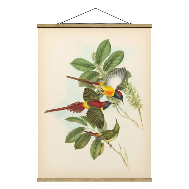 Wandbilder Retro Vintage Illustration Tropische Vögel III