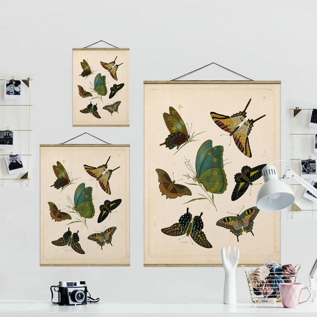 Wandbilder Türkis Vintage Illustration Exotische Schmetterlinge
