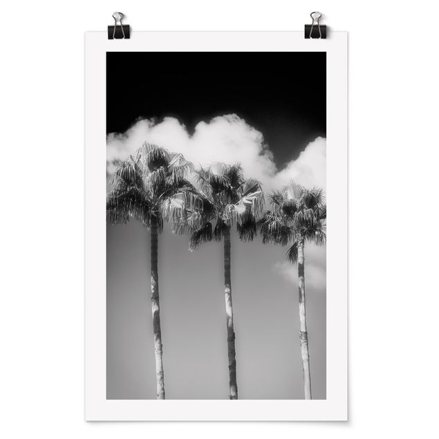 Poster Kunstdruck Palmen vor Himmel Schwarz-Weiß