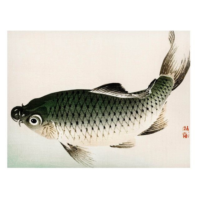 Wandbilder Fische Asiatische Vintage Zeichnung Karpfen