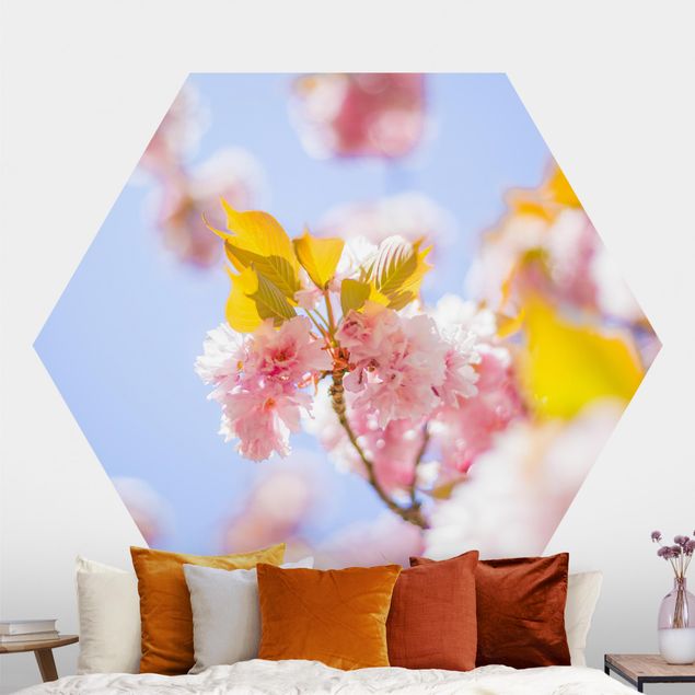 Fototapete modern Farbenfrohe Kirschblüten