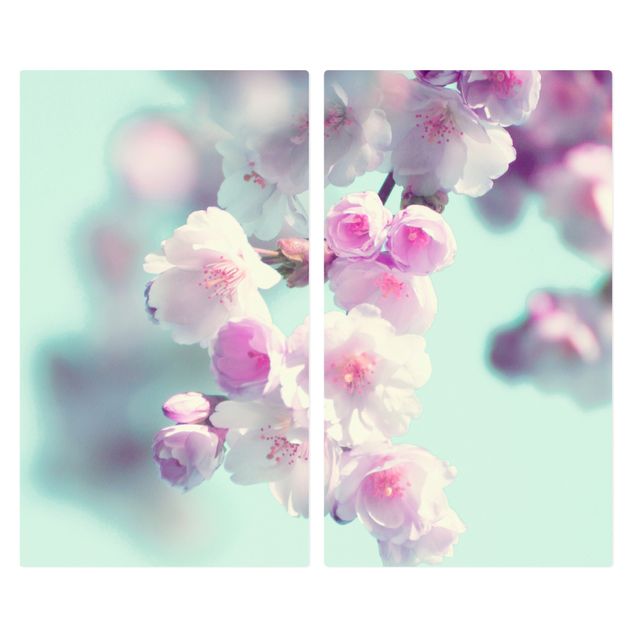 Herdabdeckplatten Glas Farbenfrohe Kirschblüten