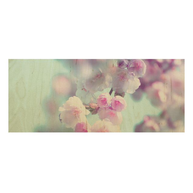 Holzbild Blumen Farbenfrohe Kirschblüten