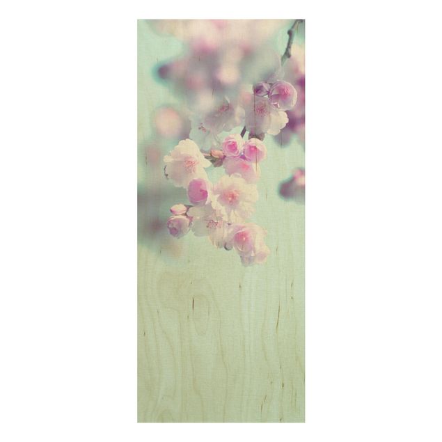 Holzbilder Blumen Farbenfrohe Kirschblüten