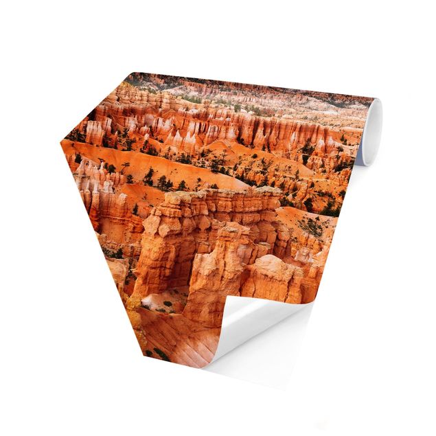 Wandtapete orange Farbenpracht des Grand Canyon