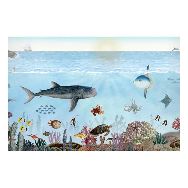 Wandbilder Fische Faszinierende Kreaturen am Korallenriff