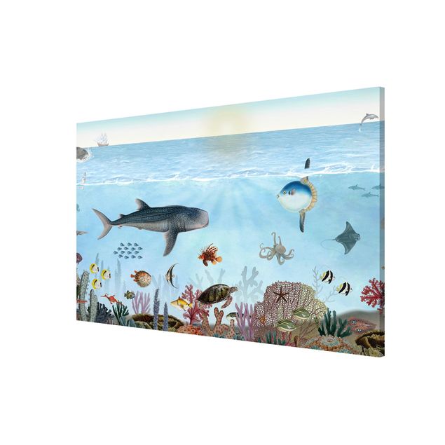 Wandbilder Landschaften Faszinierende Kreaturen am Korallenriff