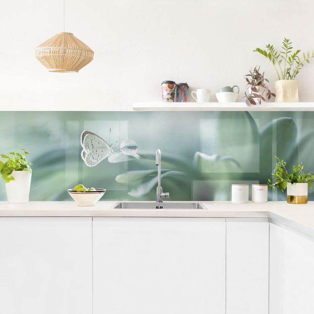 Spritzschutz Küche Glas Schmetterling und Tautropfen in Pastellgrün
