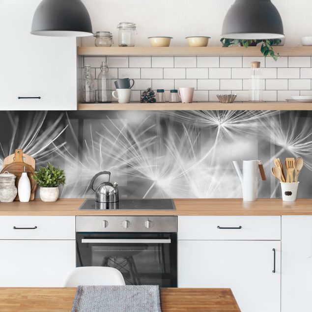 Spritzschutz Küche Glas Bewegte Pusteblumen Nahaufnahme auf schwarzem Hintergrund