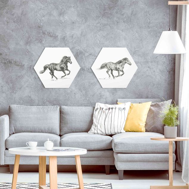 Wandbilder Pferde Wildpferd-Studie Set I
