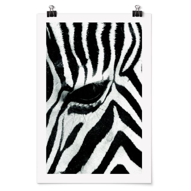 Poster Tiere Zebra Crossing No.3
