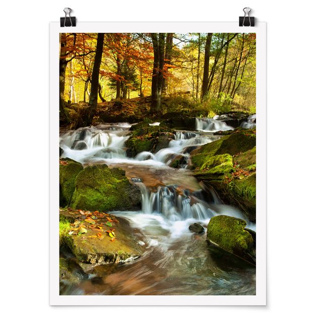 Poster Natur Wasserfall herbstlicher Wald