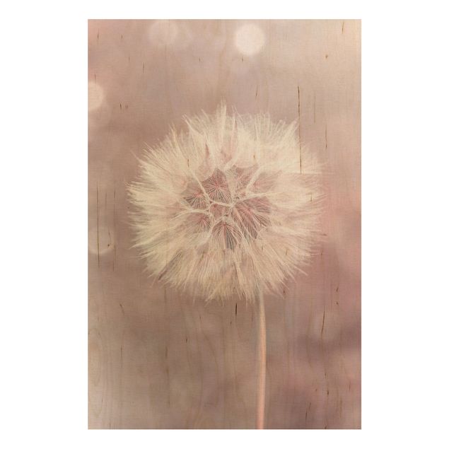 Holzbild Blumen Pusteblume Bokeh rosa