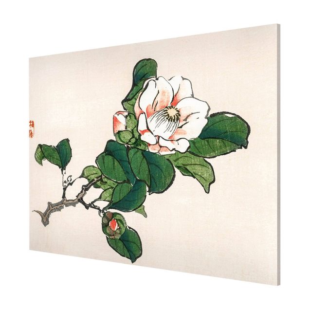 Wandbilder Floral Asiatische Vintage Zeichnung Apfelblüte