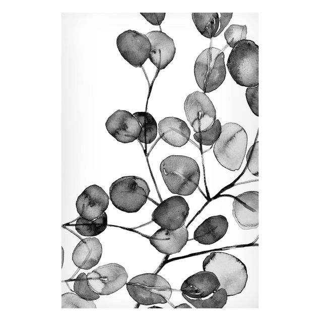 Magnettafeln Blumen Schwarz Weiß Aquarell Eukalyptuszweig