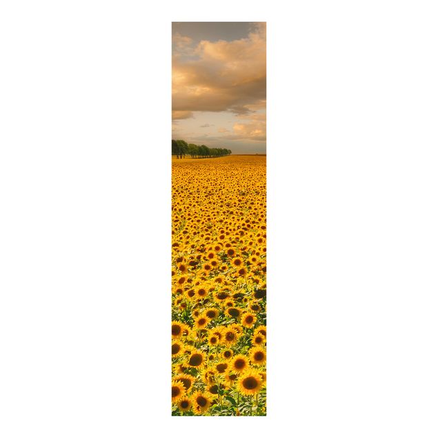 Flächenvorhang Blumen Feld mit Sonnenblumen