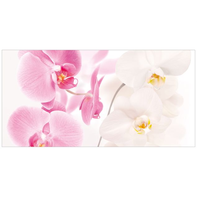 Fensterbilder Blumen Delicate Orchids