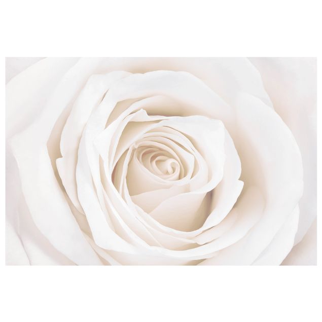 Fenstersticker Blumen Pretty White Rose