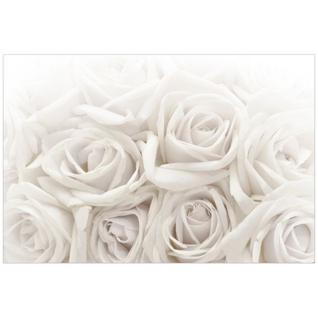 Blumen Fensterbilder Weiße Rosen