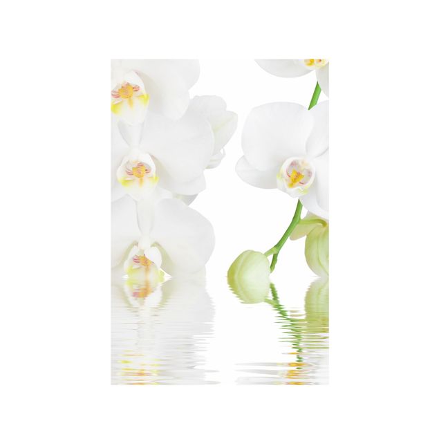 Fensterbilder Blumen Wellness Orchidee