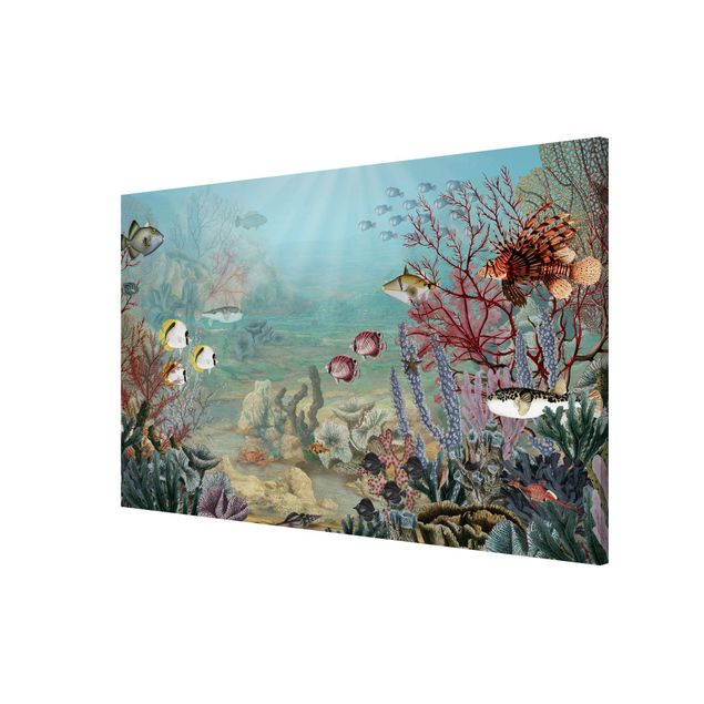 Wandbilder Landschaften Fernblick im Korallenriff