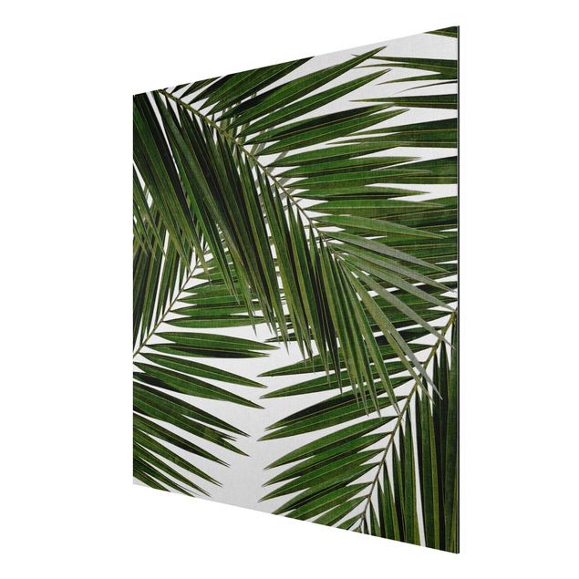 Wandbilder Floral Blick durch grüne Palmenblätter