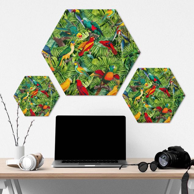 Wandbilder Bunte Collage - Papageien im Dschungel