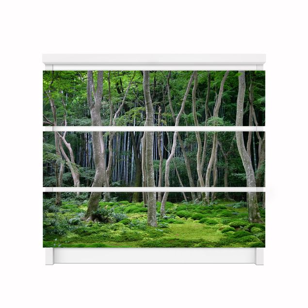 Klebefolien selbstklebend Japanischer Wald