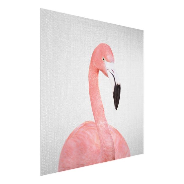 Glasbilder Tiere Flamingo Fabian