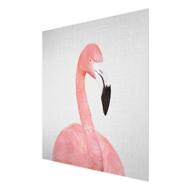 Gal Design Bilder Flamingo Fabian