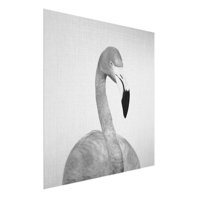 Glasbilder Tiere Flamingo Fabian Schwarz Weiß