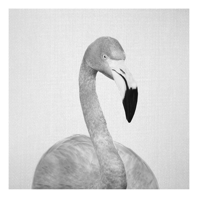 Wandbilder Schwarz-Weiß Flamingo Fabian Schwarz Weiß