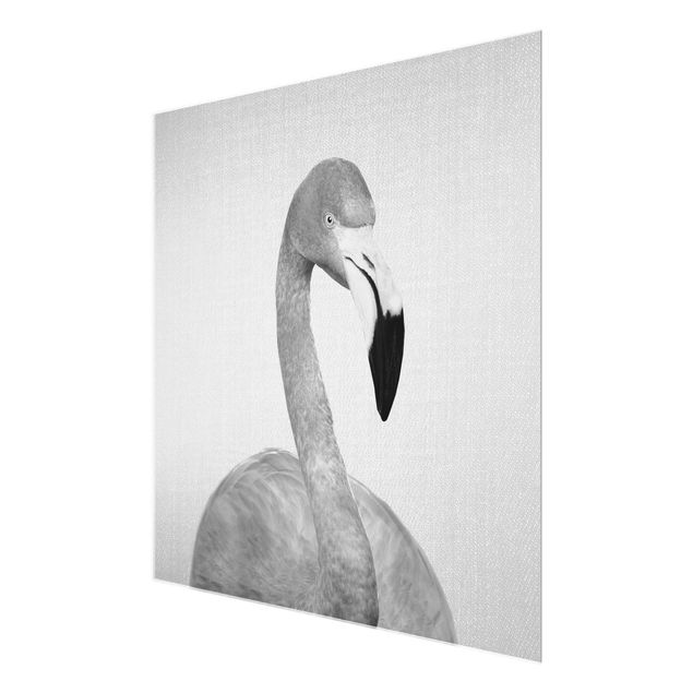 Gal Design Bilder Flamingo Fabian Schwarz Weiß