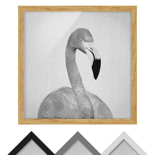 Gal Design Kunstdrucke Flamingo Fabian Schwarz Weiß