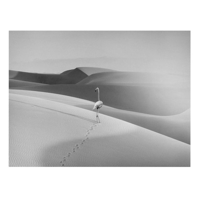 schwarz-weiß Bilder auf Leinwand Flamingo in der Wüste
