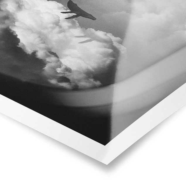 Jonas Loose Bilder Fliegender Wal in den Wolken