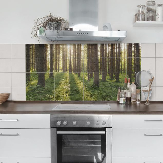 Wanddeko Küche Sonnenstrahlen im Grünem Wald