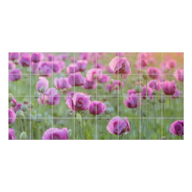 Rainer Mirau Bilder Violette Schlafmohn Blumenwiese im Frühling