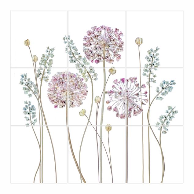 Fliesenaufkleber Allium Illustration