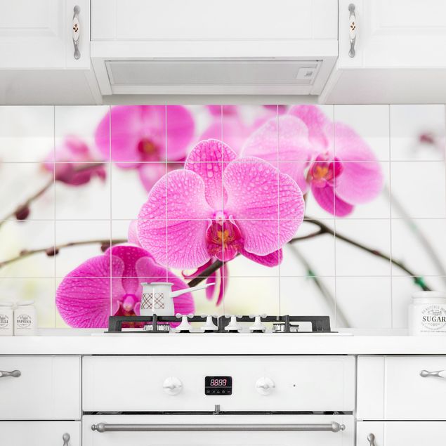 Küche Dekoration Floral Nahaufnahme Orchidee