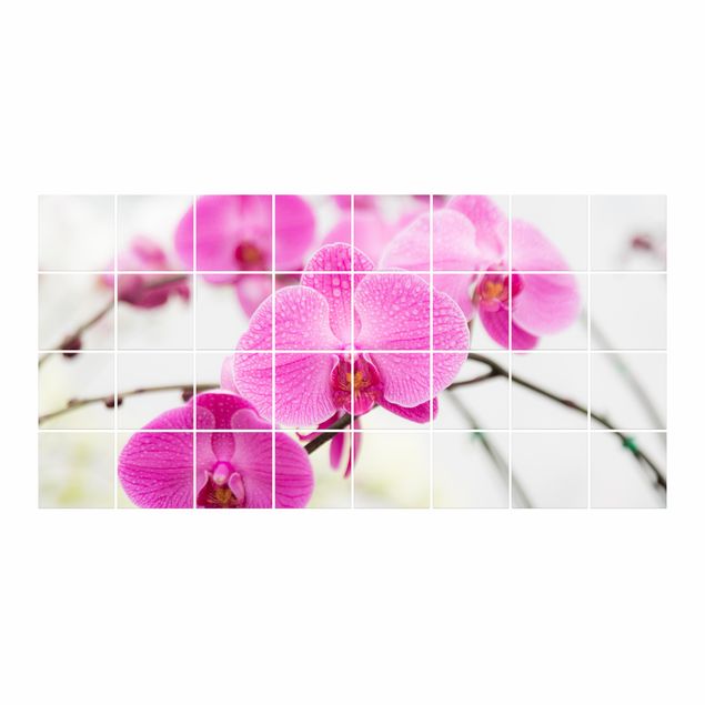 Fliesenbild - Floral Nahaufnahme Orchidee