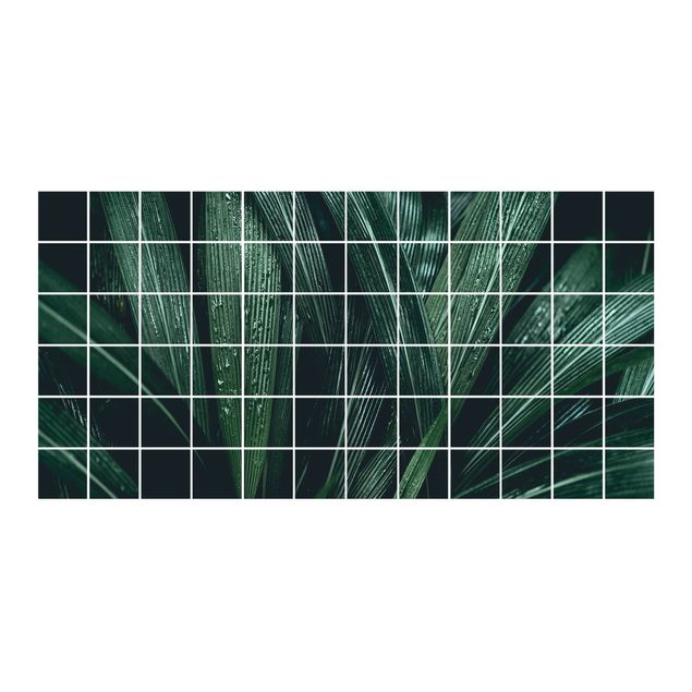 Klebefolien Grüne Palmenblätter
