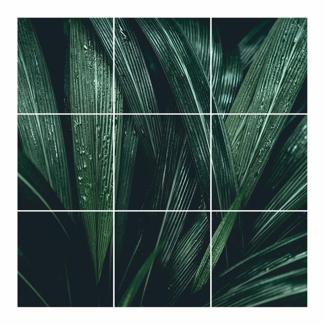 Fliesenbild - Grüne Palmenblätter