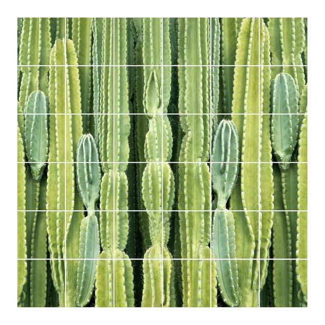 Fliesenaufkleber Kaktus Wand