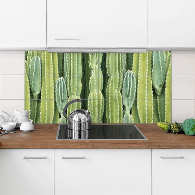 Fliesenfolie grün Kaktus Wand