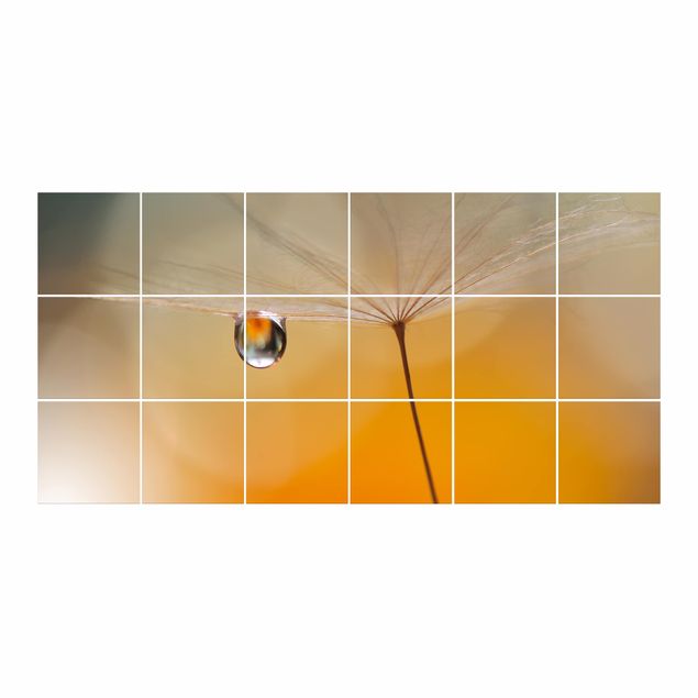 Fliesenbild - Pusteblume in Orange
