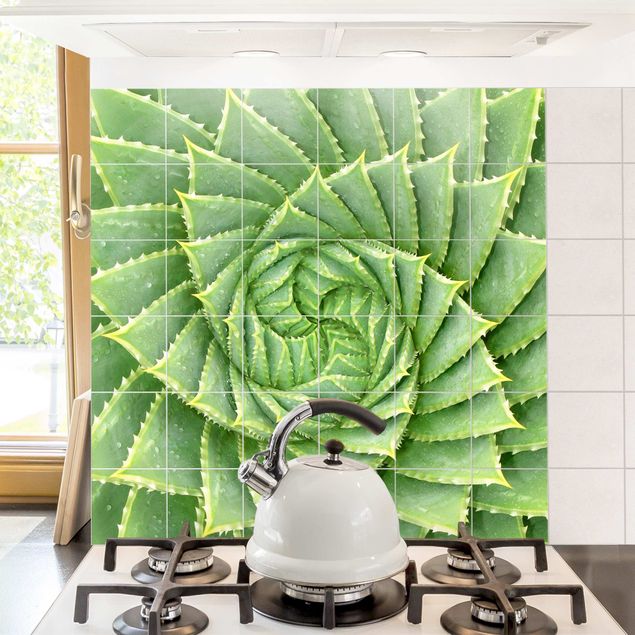 Küchen Deko Spiral Aloe