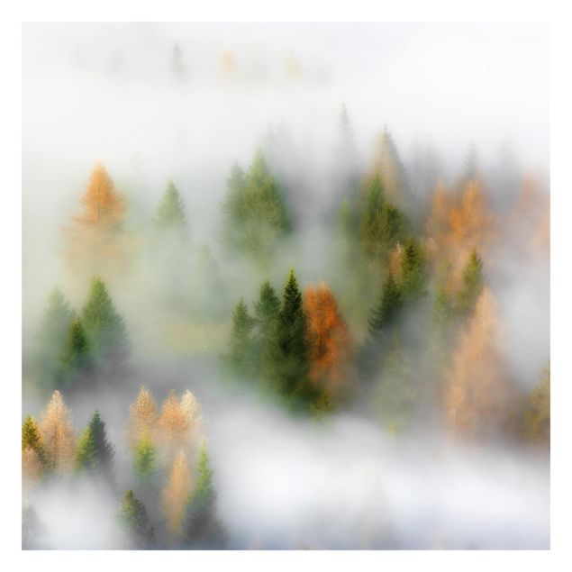 Fototapete Nebelwald im Herbst