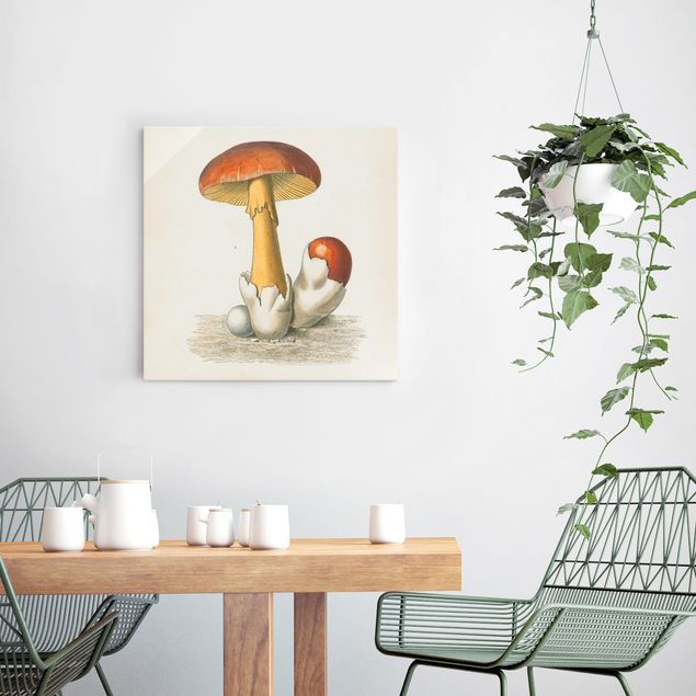 Wandbilder Retro Französische Pilze